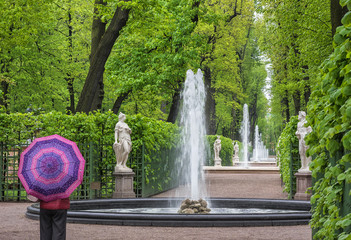 Rainy day. The Summer Garden in St.-Petersburg, Russia