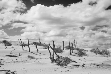 W&uuml;stenlandschaft