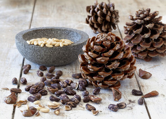 Fresh pinecone and pine nuts from the forest.
