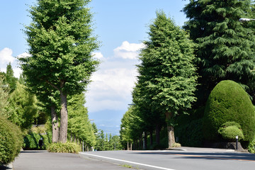 Scenery from the hill