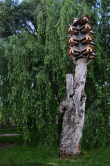 Bird Nest Tower