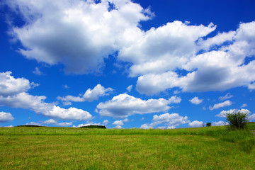 Fototapeta na wymiar Blue sky with clouds and green field.
