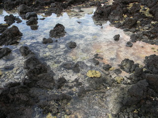 Clear Water Pool
