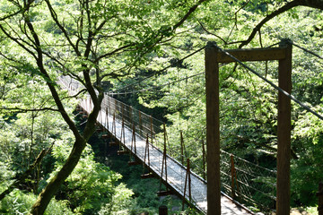 suspension bridge