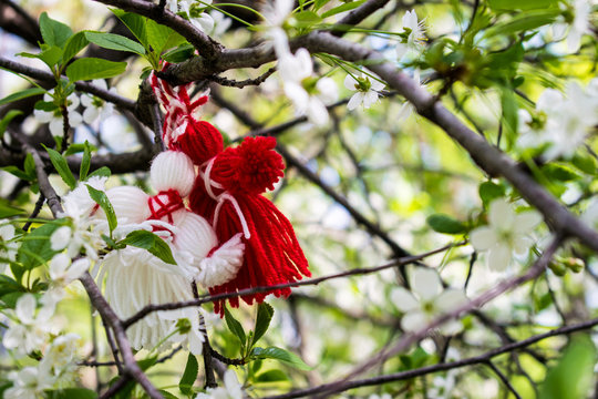 Two rag dolls of red and white color, hanging among the white flowers are cherries with green leaves.