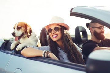 Young couple with a dog driving in a convertible - obrazy, fototapety, plakaty