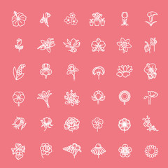 Flower Icon Set - Vector Illustration