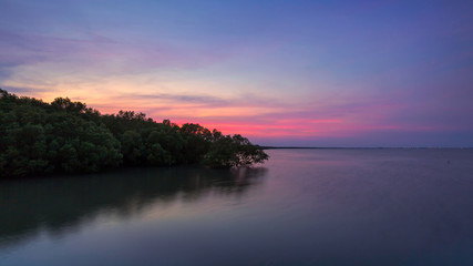 Fototapeta na wymiar Mangrove forest on sea in Thailand