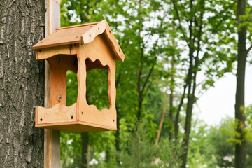 wooden birdhouse on a tree in the forest and park