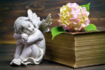Sleeping angel, flower and closed book