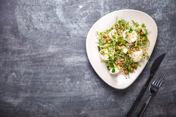 Raw Sprouts Microgreens.Fresh Green  Salad with mozzarella,cheese.Concept of Healthy Food.Copy space for Text. selective focus.