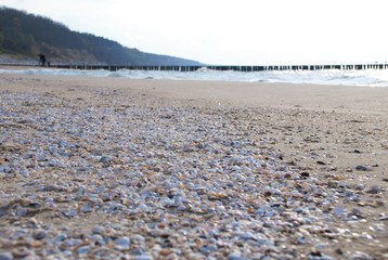 milions of shells © Doris