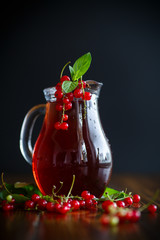 Fresh compote of ripe red currant