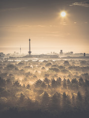 Berliner Skyline am Morgen