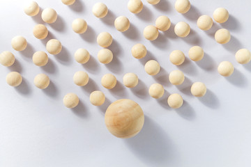 Leadership concept, Wooden ball with shadow on white background