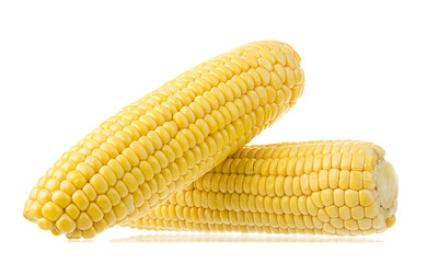 Ear of corn isolated on white background    