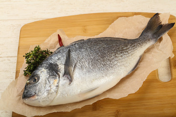 raw dorada fish