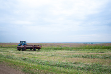 Fototapeta premium pasture mowing with blue tractor and mower