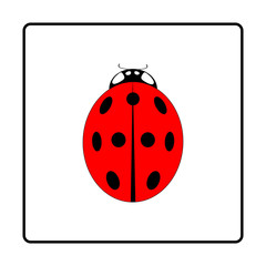 Ladybird isolated
