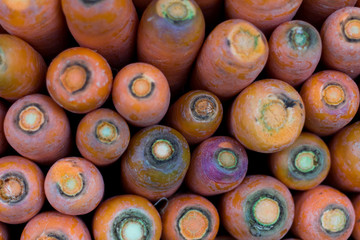Many fresh carrots