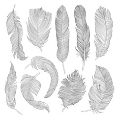 Hand-drawn feathers set. Cool sketch illustrations for your design. Eps10 vector. 