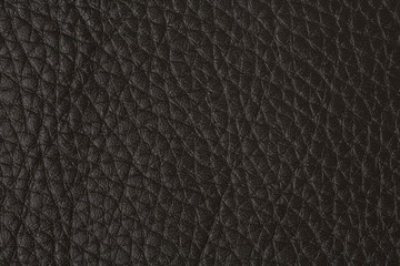 Leather texture