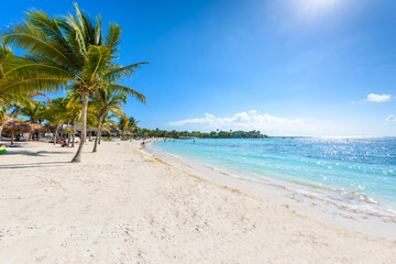 Naklejka na ściany i meble Akumal beach - paradise bay Beach in Quintana Roo, Mexico - caribbean coast