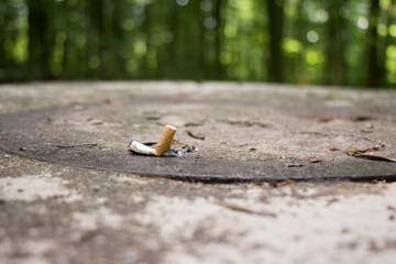 Ausgedrückte Zigarette in der Natur