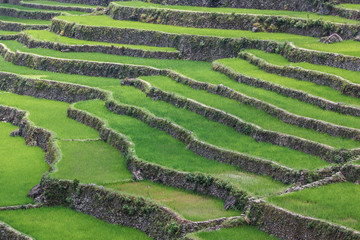 Batad rice field terraces in Ifugao province, Banaue, Philippines