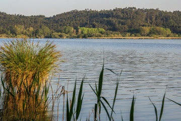 Pateira de Fermentelos, Portugal