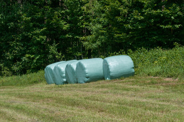 Row of plastic wrapped hay bales on a green field