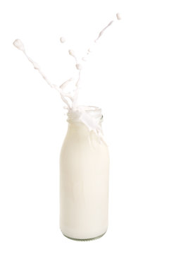 Milk splash out of bottle isolated on white background.
