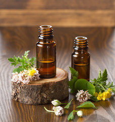 Essential oil for aromatherapy