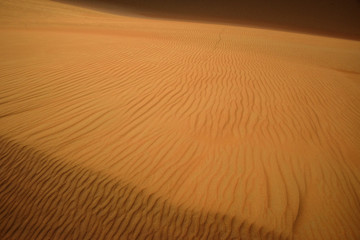 Desert Art