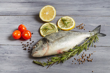 Fresh raw Dorado fish with rosemary, garlic, tomatoes, pepper and lemon on a gray board. Selective focus.