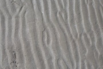Fototapeta na wymiar dirty sand texture as a background
