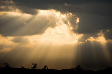 Evening sky with birds