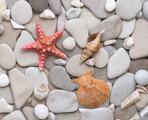Fototapeta na wymiar Smooth round pebbles, starfish and seashells.