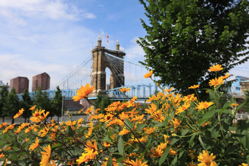 The John A. Roebling Bridge was built in 1866 to connect Covington Kentucky to Cincinnati , Ohio.  It spans the Ohio River.