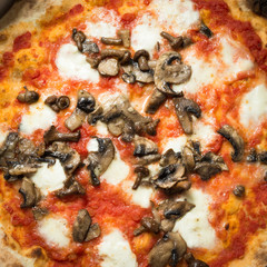 Obraz na płótnie Canvas Pizza ai funghi, mushroom pizza