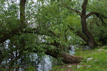 Am Karlbergssjön in Stockholm