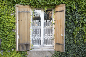 façade de maison couverte de lierre