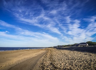 Beach landscape