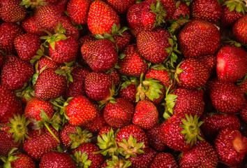 Photo of ripe strawberries
