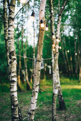 Fototapeta premium bottles with flowers, decoration trees in forest, wedding table in the forest
