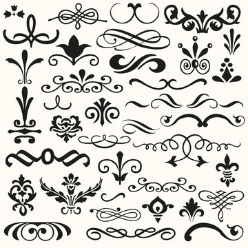Set vector flourishes. Calligraphic and page decoration design elements. Swirl, scroll and divider.
