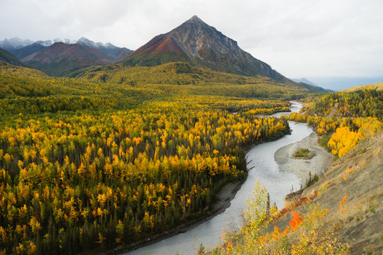 Matanuska River Flows Autumn Season Fall Color Alaska
