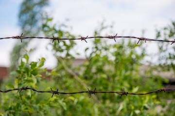 Barbed wire close-up