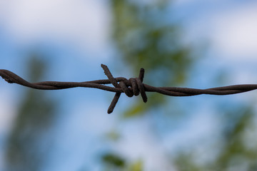 Barbed wire close-up