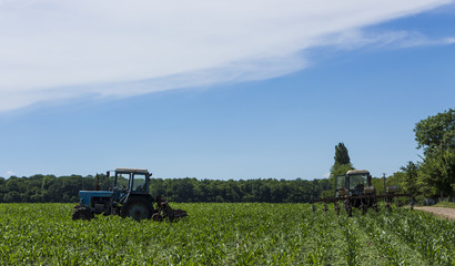 Old tractor running in the field